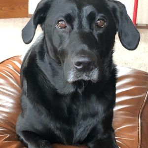 Meet your Posher, Becky